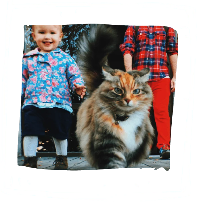 Malix Türsicherung Kleinkinder, Haustiere, Fingerschutz für Baby, Türspalt Sicherung, Türsicherung kaufen